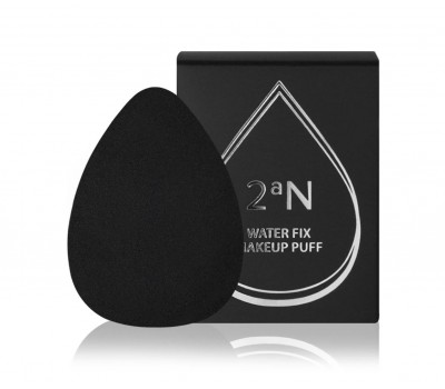 2aN Water Fix Makeup Puff 2g