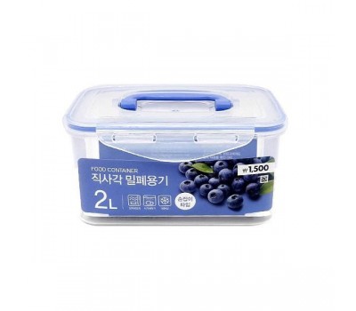 Daiso Plastic container with handle 2L