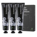 Dr. Banggiwon Mastint Freshing Toothpaste Mint Set 