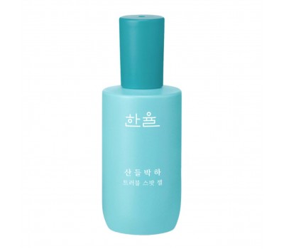 Hanyul Mentha Trouble Spot Gel 40ml