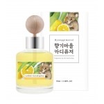 Hyanggimaeul Fragrance Village Car Diffuser Lemon Eucalyptus 70ml 