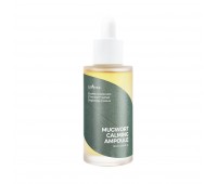 Isntree Spot Saver Mugwort Ampoule 50ml 