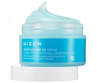 MIZON Water Volume EX Cream 100ml - Увлажняющий крем для лица 100мл