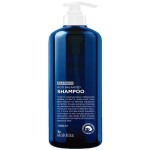 Rokkiss Platinum Acid Balanced Shampoo 1000ml - Шампунь для волос 1000мл