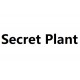 Secret Plant