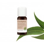 The Herb Shop Essential Oil Eucalyptus 10ml