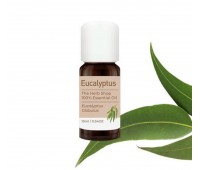 The Herb Shop Essential Oil Eucalyptus 10ml