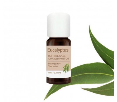 The Herb Shop Essential Oil Eucalyptus 10ml - Эфирное масло 10мл