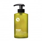 TS Ginder Hair Loss Shampoo  500g