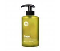 TS Ginder Hair Loss Shampoo  500g - Шампунь против выпадения волос 500г