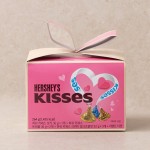 Lotte Hershey's Kisses Ribbon Case 264g