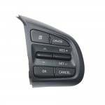 Avante AD and smart cruise control switch/remote control switch Hyundai Mobis pure 96720F2110
