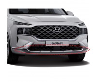 The New Santa Fe TM Chrome bottom bumper skid / Chrome skid plate / Calligraphy bottom bumper skid Hyundai Mobis Genuine 86578S1600/86579S1600/86577S1600

