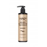 HAIRPLUS МАСКА ДЛЯ ВОЛОС 300мл-HAIRPLUS Velvet Black Bond Treatment 300ml
